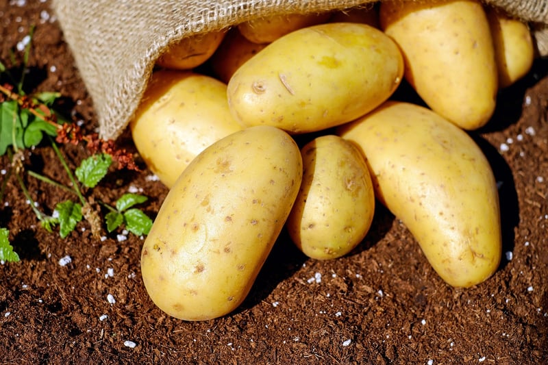 Soil Nutrition