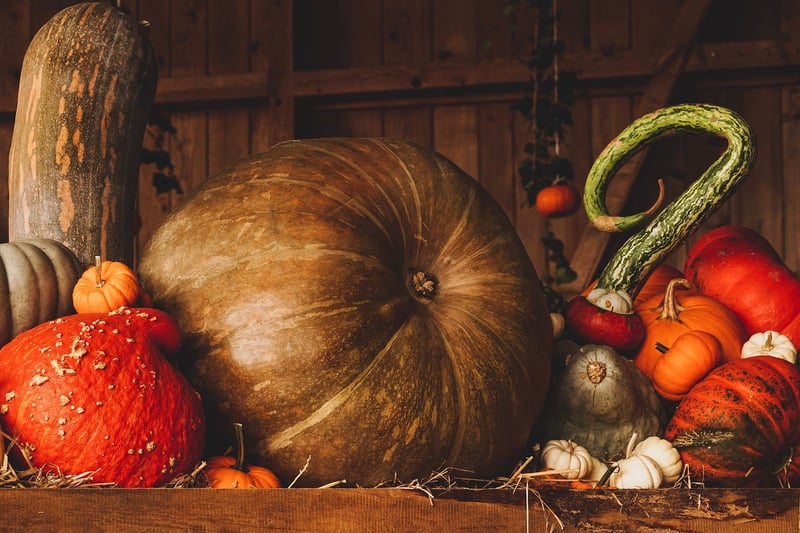 Fall Garden